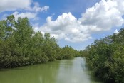 ঠাকুরগাঁও