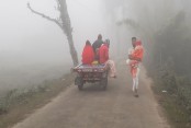 রাজবাড়ী