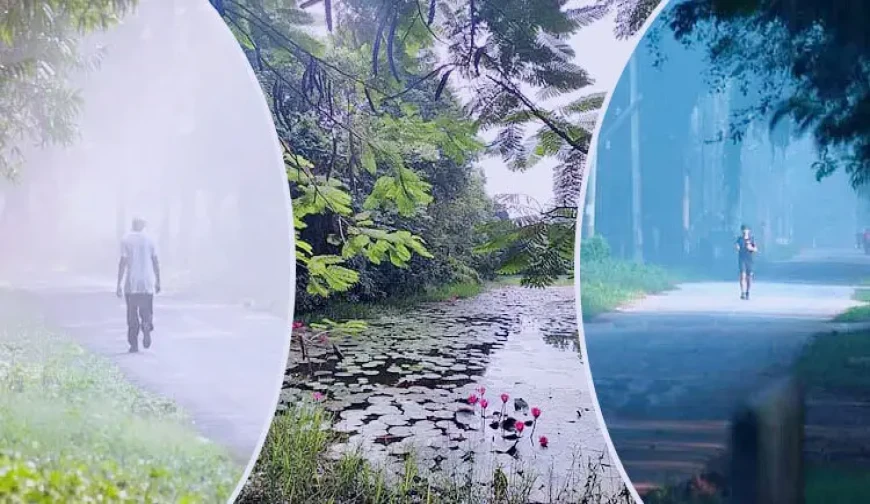ভোরের কুয়াশায় শীতের আগমনী বার্তা