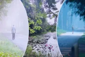 পাঠকের কলাম