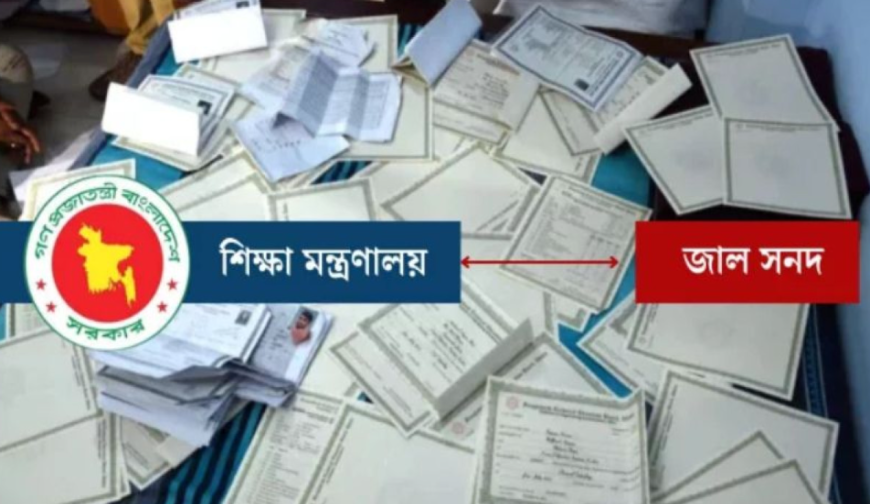 শিক্ষাপ্রতিষ্ঠানে ১১৭২ জাল সনদধারী শিক্ষক শনাক্ত, শীর্ষে রাজশাহী
