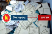 ফিচার