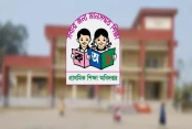 ফিচার