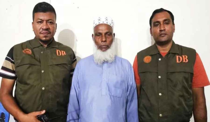 তালগাছ কেটে শতাধিক বাবুইছানা হত্যার ঘটনায় প্রধান আসামি গ্রেফতার