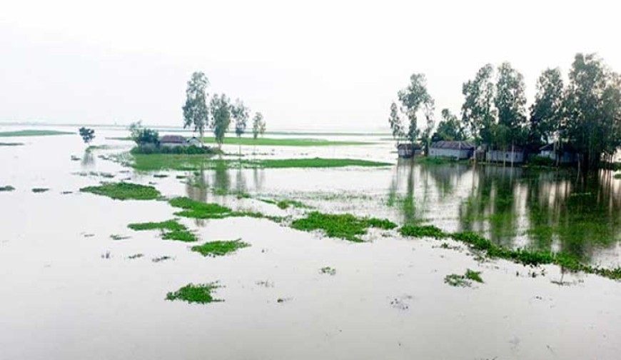 তিস্তার পানি বিপদৎসীমার উপরে, চার জেলায় বন্যার শঙ্কা