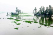 কিশোরগঞ্জ
