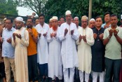 নীলফামারী