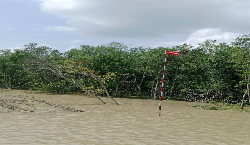 সুন্দরবনে ডলফিন অভয়ারণ্যে লাল ফ্ল্যাগ, মাছ ধরা কঠোরভাবে নিষিদ্ধ