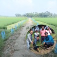 বজ্রপাতের ঝুঁকি কমাতে স্কয়ার ফার্মাসিউটিক্যালসের উদ্যোগে তালগাছের চারা রোপণ