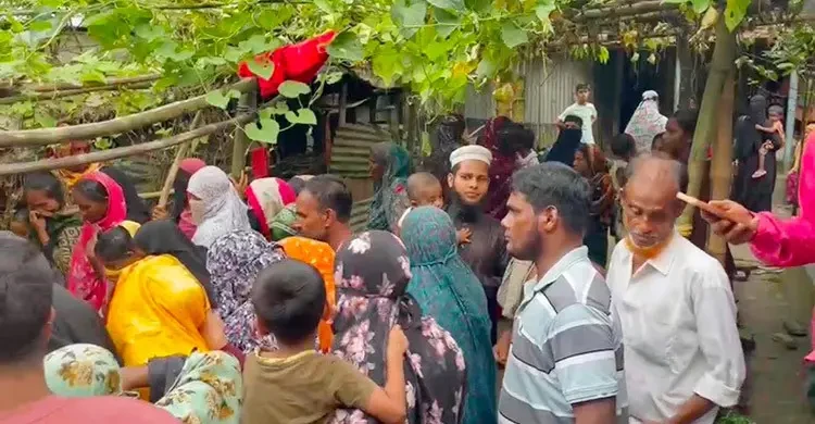 নরসিংদীতে পুকুরে ডুবে একই পরিবারের তিন শিশুর মৃত্যু