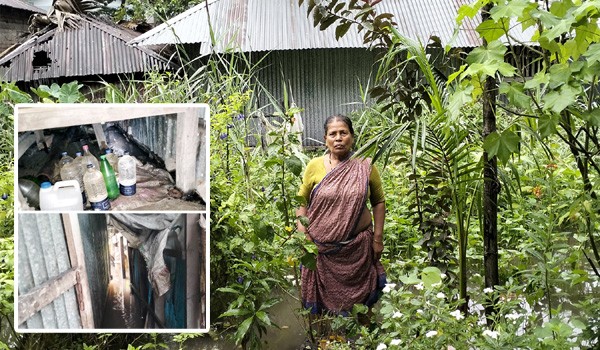 পানিবন্দি ভাঙা ঘরে সাবেক ইউপি সদস্য দীপ্তি, সাপ-ব্যাঙের সঙ্গে কাটছে দিন-রাত