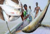 দেশেরডাক