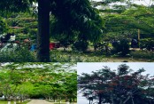 দেশেরডাক