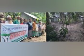 দেশেরডাক
