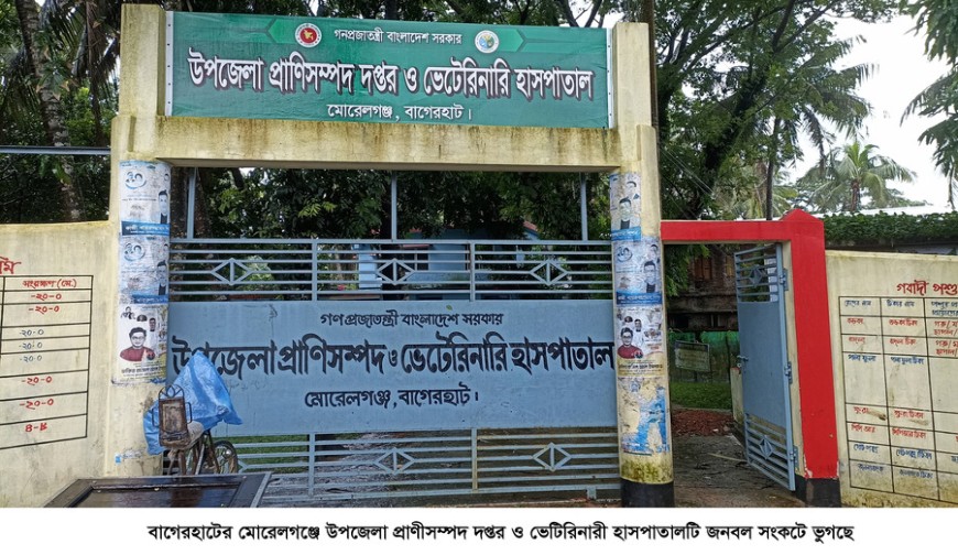 দেশেরডাক