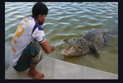 দেশেরডাক